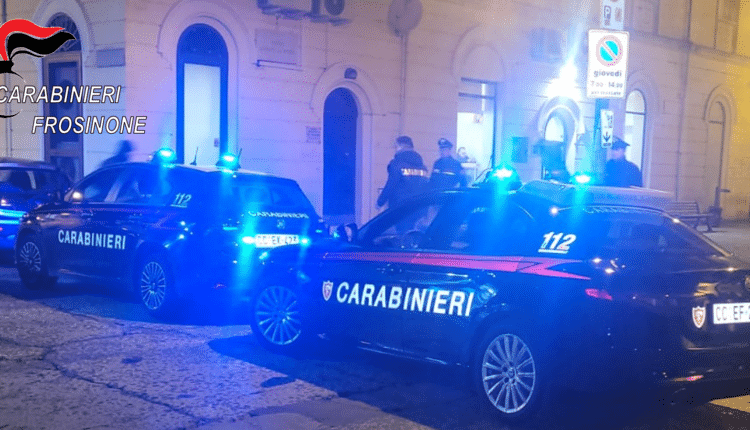 Isola del Liri: due cani sprovvisti di microchip hanno aggredito un'anziana signora