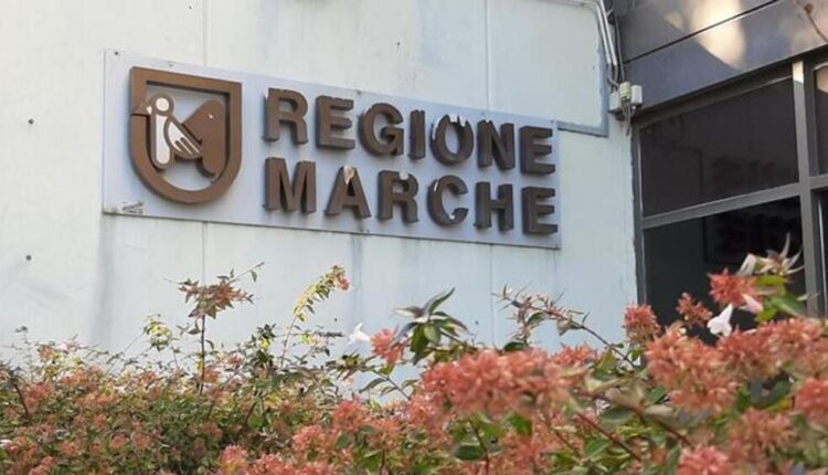 Regione Marche: 6.750.000 Euro le risorse a disposizione per il bando Academy di Filiera, un progetto che metterà in relazione le imprese e gli enti di formazione professionale