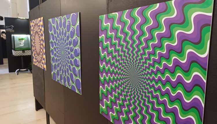 Siracusa: inaugurata la mostra "Verso il Museo delle Illusioni" tra scienza ottica, curiosità e divertimento 5