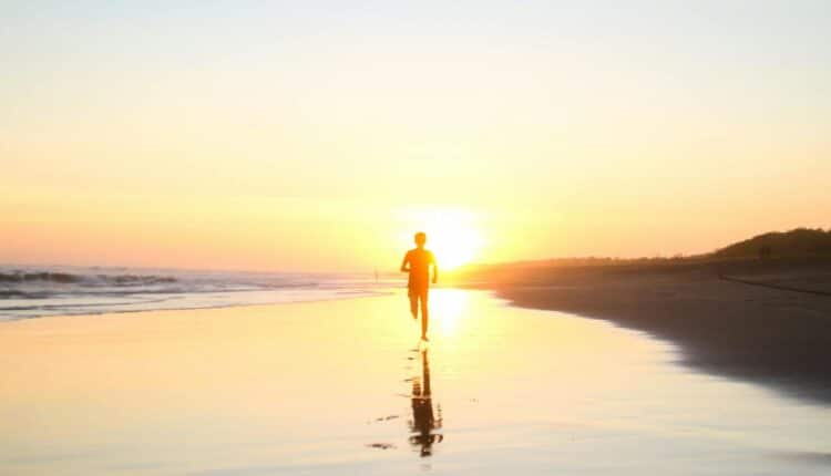 Gli integratori sportivi: dalle proteine alla creatina, quali sono e come sceglierli.