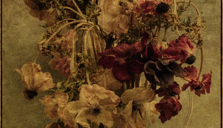 Monza Photo Fest: al via la prima edizione dal 20 settembre all'11 novembre 2024