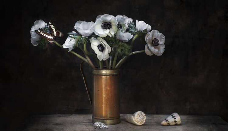 Monza Photo Fest: al via la prima edizione dal 20 settembre all'11 novembre 2024