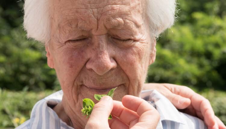 Monza Photo Fest: al via la prima edizione dal 20 settembre all'11 novembre 2024