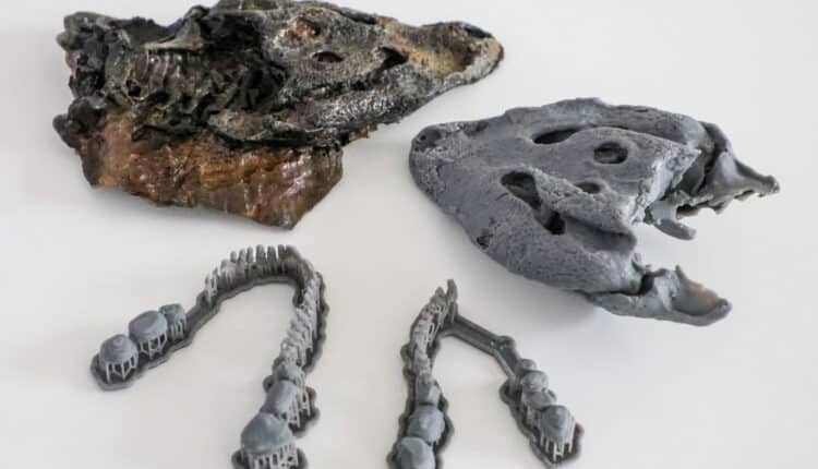 Trieste: "Dinosauri e molto altro: le nuove scoperte del Villaggio del Pescatore", incontro pubblico all'Urban Center