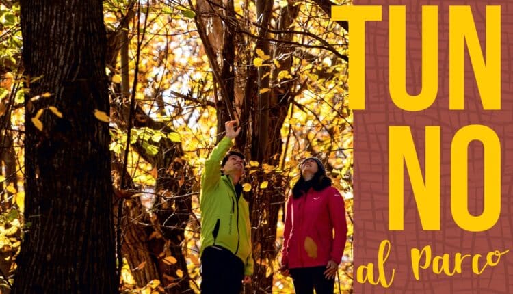 Fossano: Prima edizione “Festa del Parco 2024” ideale per bambini e famiglie