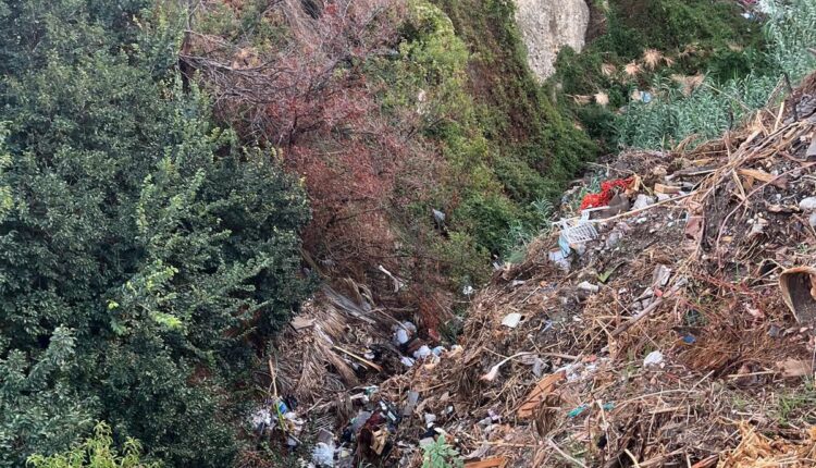 Ricadi scoperta, grazie anche alle segnalazioni dei cittadini, una discarica a cielo aperto di 2 ettari. Denunciato un uomo 3
