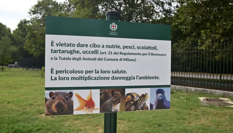 Milano: una nuova campagna di comunicazione per sensibilizzare i cittadini e i turisti a non nutrire gli animali selvatici nei parche e per la città