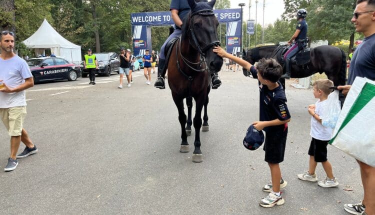Monza e Brianza: il maxi servizio d'ordine e sicurezza messo in campo dalle Forze dell'ordine durante il Gran Premio d'Italia10