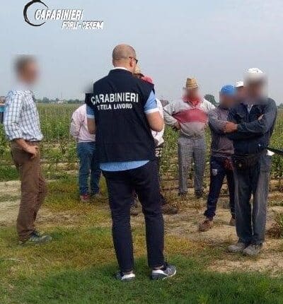Forlì-Cesena: intensificati i controlli nel settore agricolo. Quattro datori di lavoro sono stati deferiti all' Autorità Giudiziaria per varie irregolarità