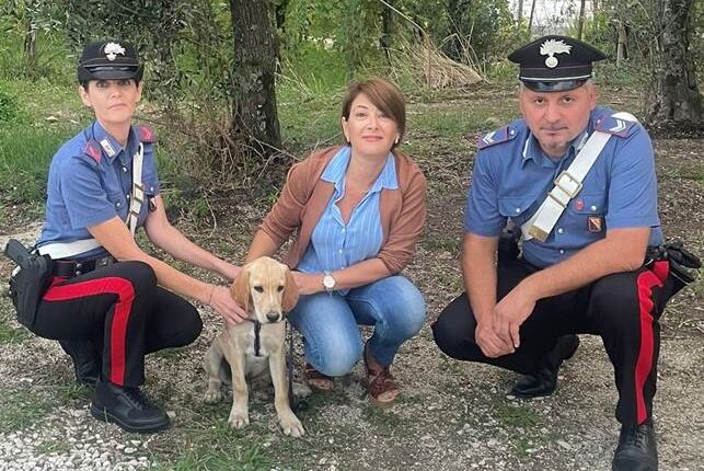 Sessa Aurunca: i Carabinieri trovano Zuly, il cagnolino scomparso da alcuni giorni e lo riconsegnano alle due padroncine.