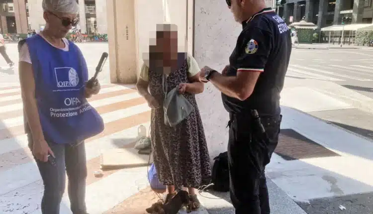 Milano: cagnolino sfruttato per accattonaggio in pieno Centro. Salvato dalle guardie zoofile dell'Organizzazione internazionale protezione animali4