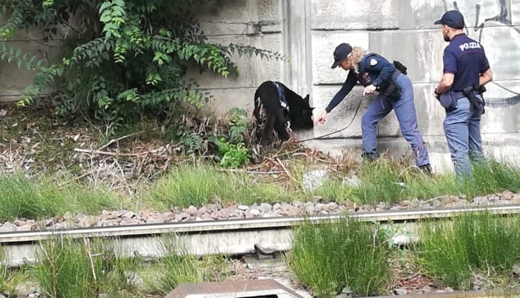 Mantova: la Polizia di Stato, in collaborazione con la Polizia Locale e quella Ferroviaria, ha svolto un servizio straordinario di controllo del territorio per il contrasto allo spaccio di droga