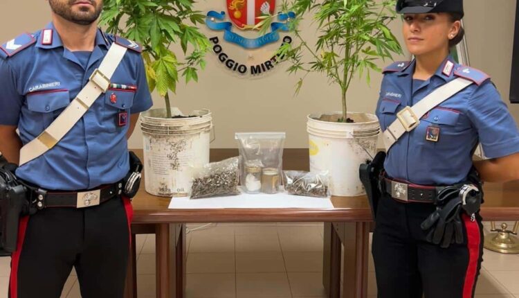 Poggio Mirteto, arrestato 50enne per produzione e spaccio di droga.