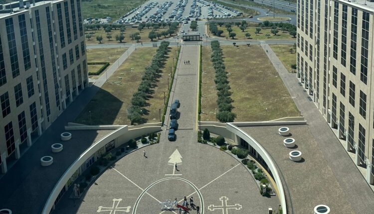 Regione Calabria a sostegno degli allevatori: definite misure e azioni utili ad arginare l'epidemia di lingua blu