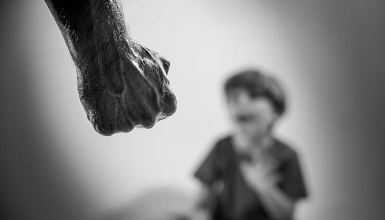 Roma: Mostra Fotografica SUPEREROI, proteggiamo i bambini insieme