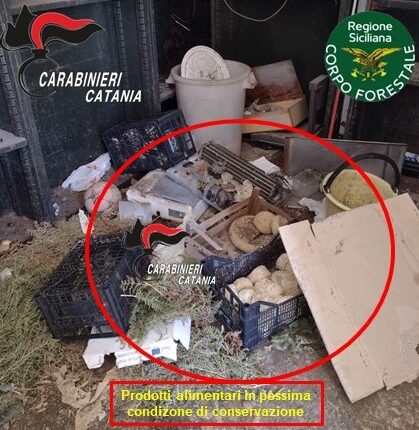 Pedara: attività di controllo nel settore agroalimentare a tutela della salute pubblica