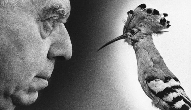 Milano: "Ugo Mulas. L'operazione fotografica", dal 10 ottobre 2024 al 2 febbraio 2025 a Palazzo Reale