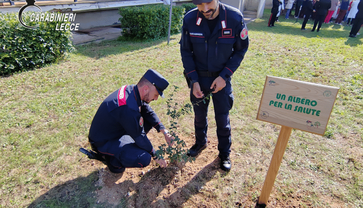 L’iniziativa '”Un Albero per la Salute” di Carabinieri e FADOI illumina il futuro verde di Gallipoli