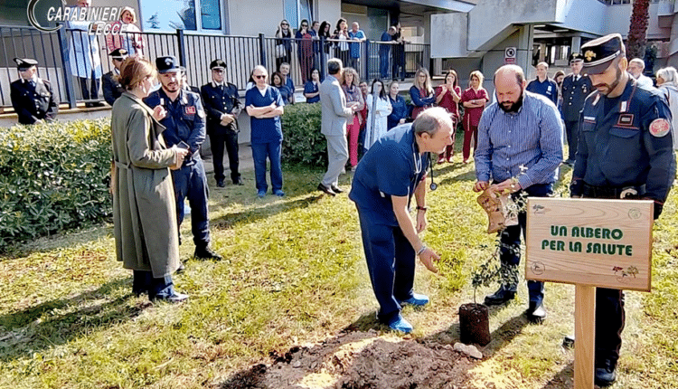 L’iniziativa '”Un Albero per la Salute” di Carabinieri e FADOI illumina il futuro verde di Gallipoli