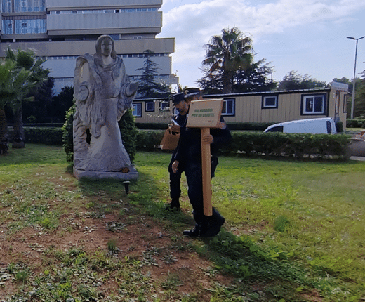 L’iniziativa '”Un Albero per la Salute” di Carabinieri e FADOI illumina il futuro verde di Gallipoli