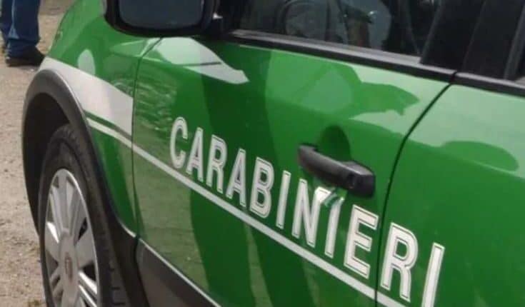 Piacenza: Padre e figlio si perdono nei boschi, ritrovati dai carabinieri