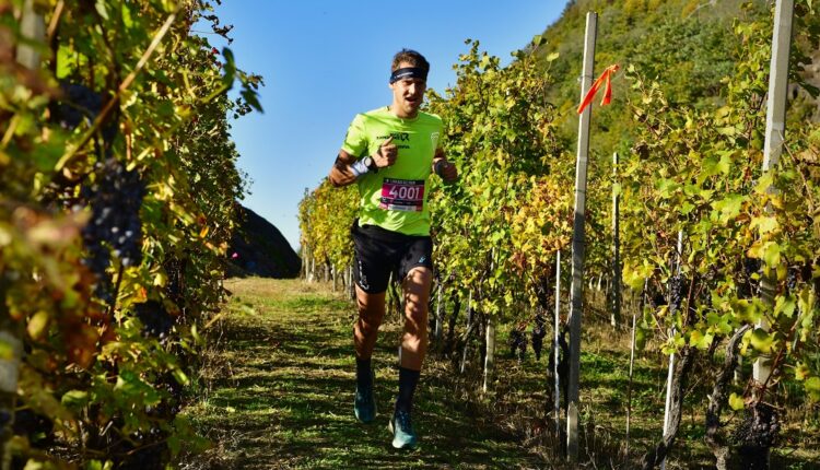 Valtellina Wine Trail: grande festa di sport e tradizione, appuntamento sabato 9 novembre