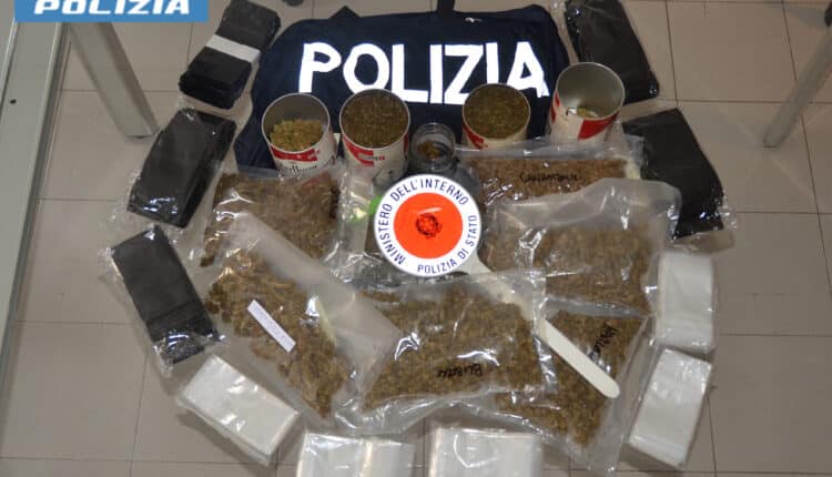 Feltre, 64enne arrestato per detenzione a fini di spaccio di oltre un kilo di marijuana