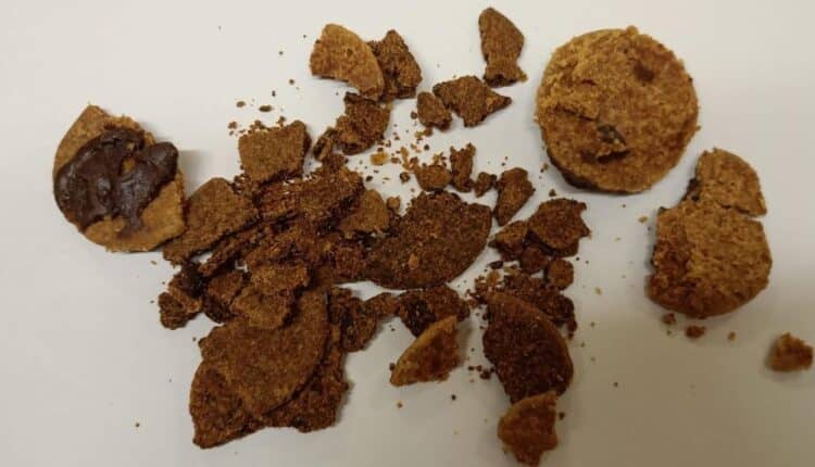 Perugia: un 37enne è stato trovato in possesso di biscotti contenenti “cannabinoidi”, mentre un 54enne è stato sorpreso a coltivare 14 piante di marijuana. I controlli dei Carabinieri 3