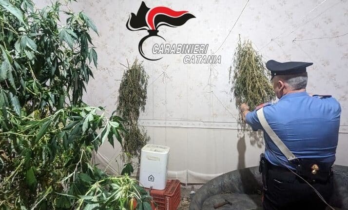 Guardia Mangano: nascondeva la droga nei contenitori Enel, arrestato dai Carabinieri.