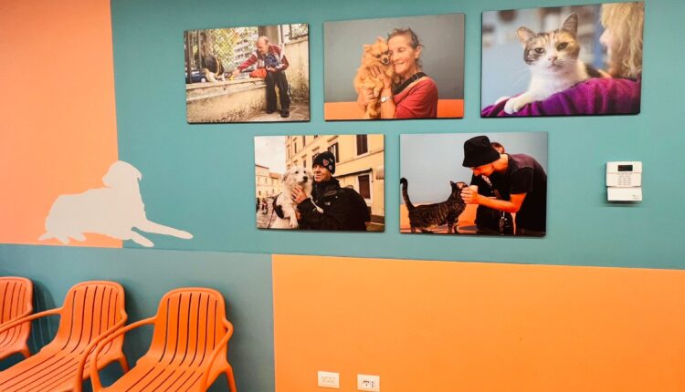 Roma: Inaugurato il Primo Ambulatorio Veterinario Sociale