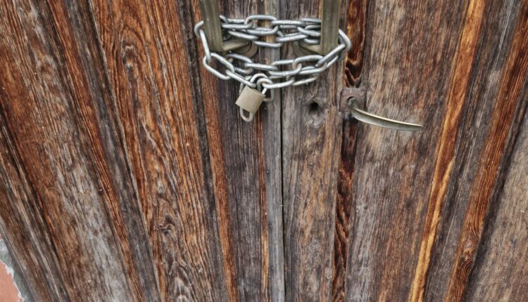 Alessandria: salvati otto cani, due gatti, un cavallo, una capra e trenta volatili malnutriti e trascurati, indagati i proprietari