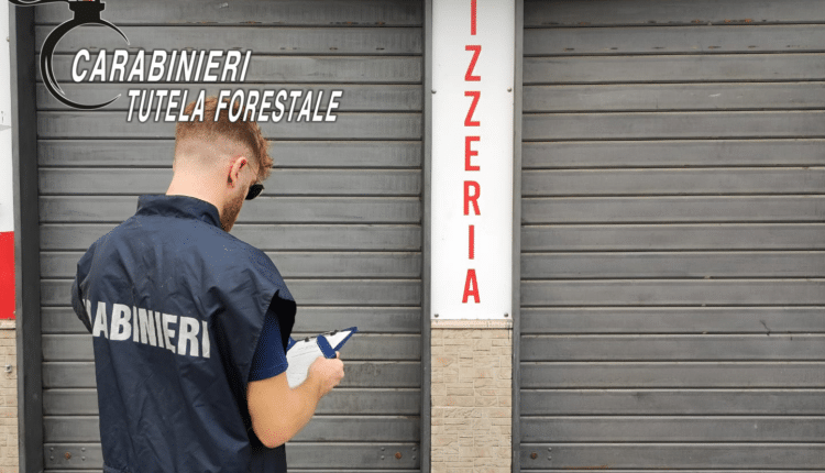 Marcianise: sequestro pizzeria per carenze igienico-sanitarie dei prodotti in vendita allo stato sfuso privi delle indicazioni obbligatorie in materia di etichettatura.