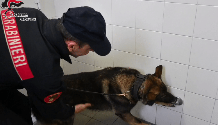 Novi Ligure: Progetto sulla legalità, controlli antidroga con i cani del Nucleo Cinofili