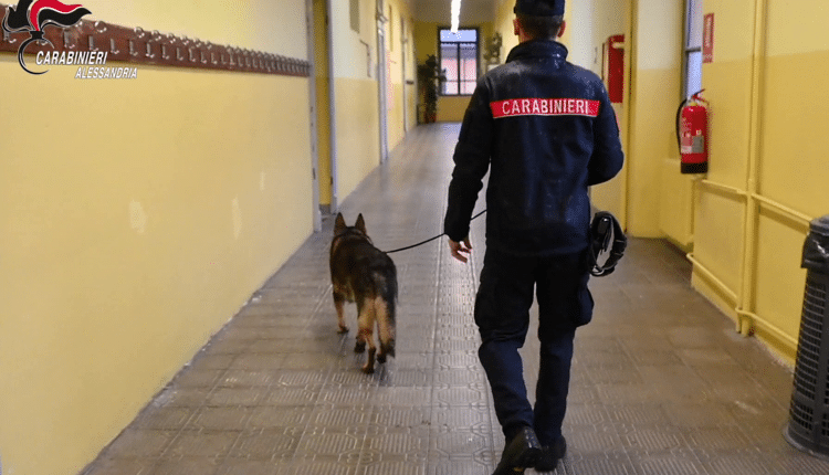 Novi Ligure: Progetto sulla legalità, controlli antidroga con i cani del Nucleo Cinofili