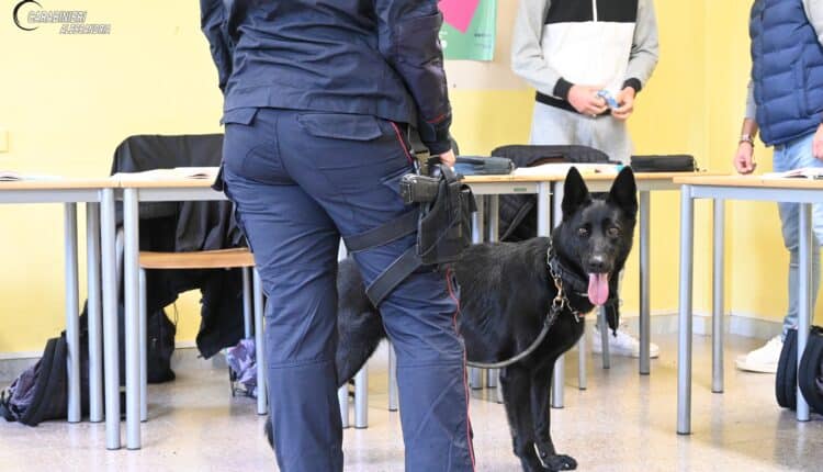 Novi Ligure: Cani Antidroga a Scuola nel Progetto di Educazione alla Legalità