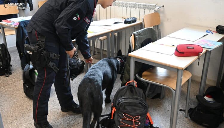 Novi Ligure: Cani Antidroga a Scuola nel Progetto di Educazione alla Legalità