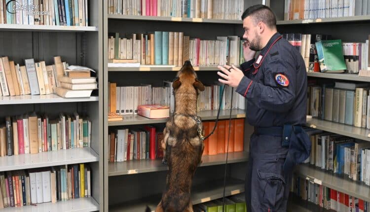 Novi Ligure: Cani Antidroga a Scuola nel Progetto di Educazione alla Legalità