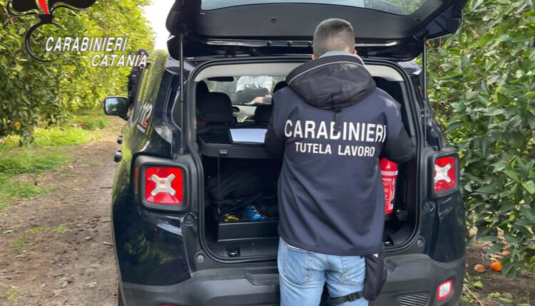Paternò: Carabinieri a tutela dei lavoratori, 4 denunce e sanzioni.