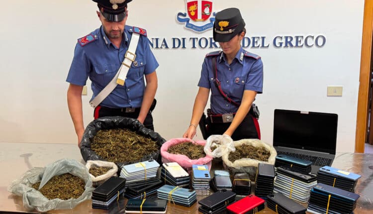 Torre del Greco: chili di marijuana, 181 telefoni ricettati e una fattoria con animali protetti, 48enne arrestato dai Carabinieri