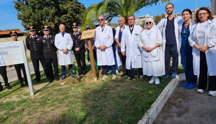 Crotone: Piantumazione di un albero al Pronto Soccorso per promuovere la salute e la biodiversità