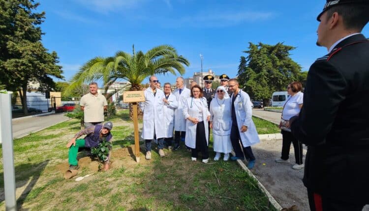 Crotone: Piantumazione di un albero al Pronto Soccorso per promuovere la salute e la biodiversità