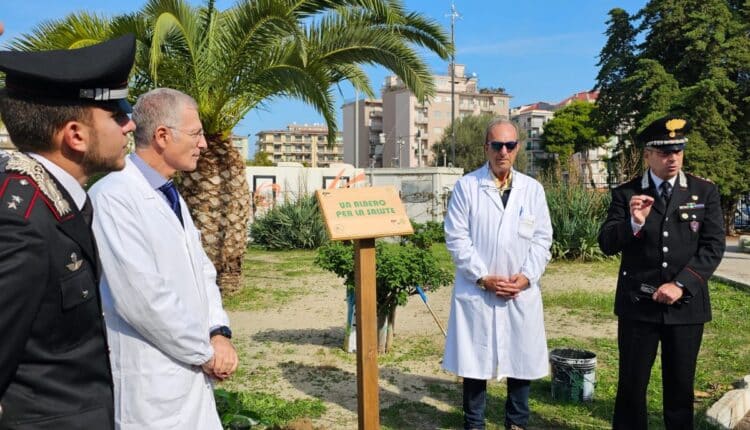 Crotone: Piantumazione di un albero al Pronto Soccorso per promuovere la salute e la biodiversità