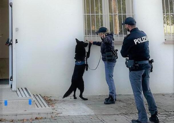 Forlì, controlli rafforzati della Polizia per contrastare la diffusione di sostanze stupefacenti nelle Scuole e nel Centro Storico