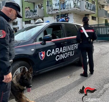Salerno: controlli antidroga nelle scuole, impegnate anche le unità cinofile dei Carabinieri
