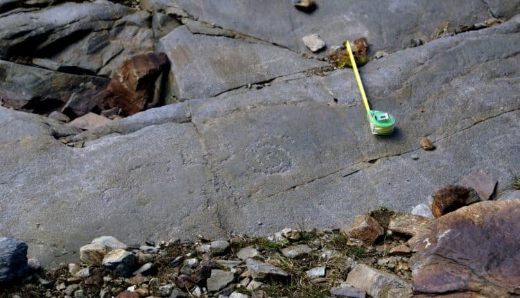 Lombardia, grandi scoperte in Valfurva: le incisioni rupestri più alte d'Europa