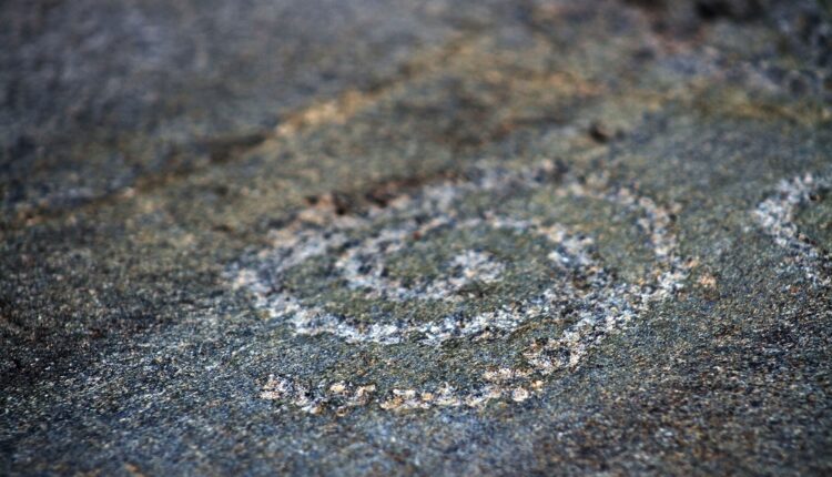 Lombardia, grandi scoperte in Valfurva: le incisioni rupestri più alte d'Europa