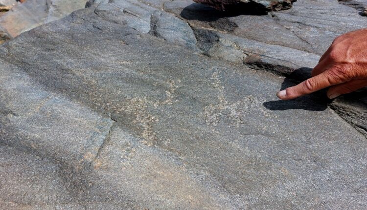 Lombardia, grandi scoperte in Valfurva: le incisioni rupestri più alte d'Europa