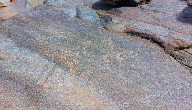 Lombardia, grandi scoperte in Valfurva: le incisioni rupestri più alte d'Europa