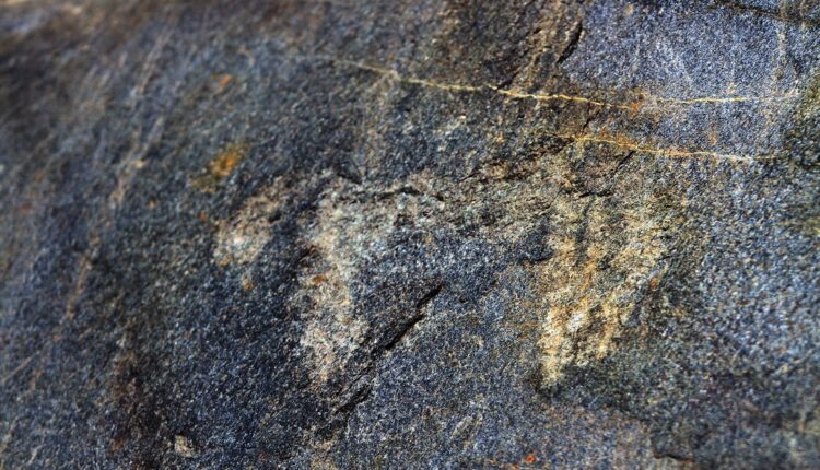 Lombardia, grandi scoperte in Valfurva: le incisioni rupestri più alte d'Europa