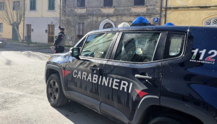 Collesalvetti: i Carabinieri denunciano una donna per aver rubato il portafoglio a tre clienti di un supermercato.